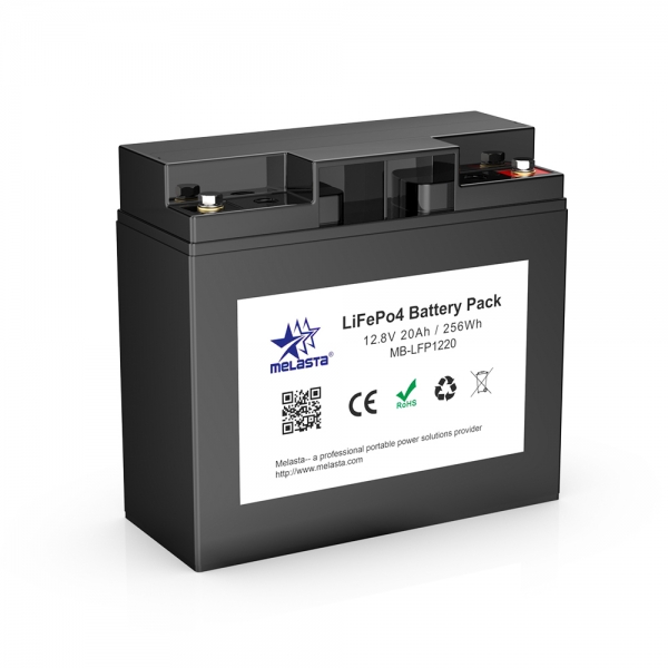 Starter Battery